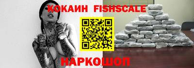 гидра Новозыбков