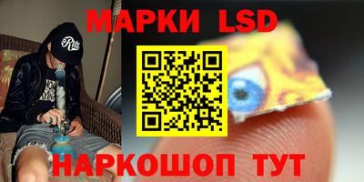 гидра Новозыбков