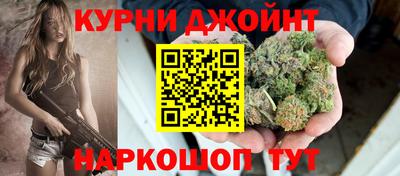 гидра Новозыбков