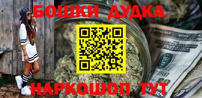 гидра Новозыбков