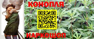 прущая мука Новодвинск