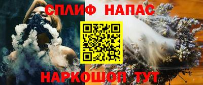 гидра Новозыбков