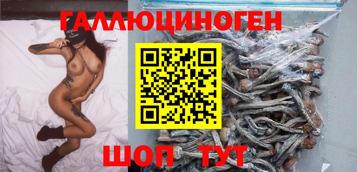 Галлюциногенные грибы MAGIC MUSHROOMS Острогожск